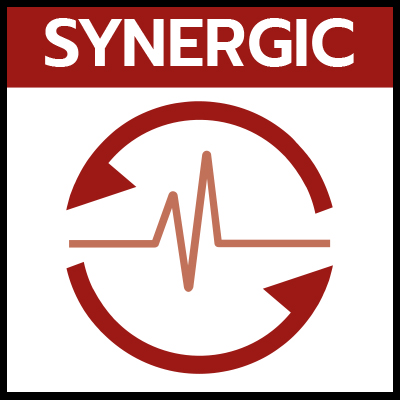 MIG_Synergic